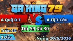 Trận 20 Xà Xía Ngày 20/5/2026 – Điều đang dẫn tang bướm móc chân cuối về nhà