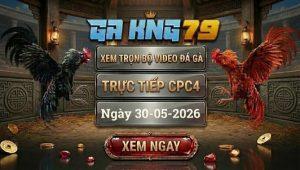 Xem Full Video Đá Gà CPC4 Ngày 30/05/2026