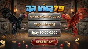 Xem Full Video Đá Gà CPC5 Ngày 16/05/2026