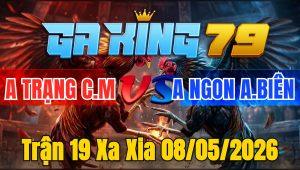 Trận 19 Xa Xia 08/05/2026 - Xám đâm như sấm sét bướm vô ói tét làm 2