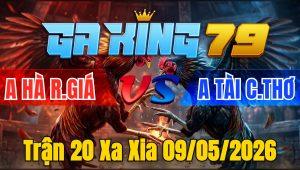 Trận 20 Xa Xia 09/05/2026 - 2 con cuốn vô tùng siết gà vàng chọt cây xám chuối thúi tủ