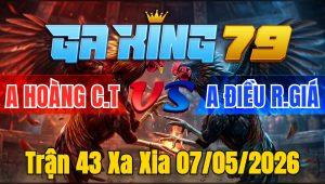 Trận 43 Xa Xia 07/05/2026 - Gà vàng lủi đá đại càng điều đâm cây vàng đi ngủ