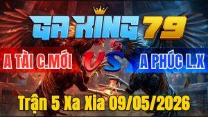 Trận 5 Xa Xia 09/05/2026 - Buông đuôi xanh nạp cựa đỏ hãi mình vô kiếng quay đầu bỏ chạy