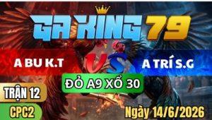 Trận 12 CPC2 Ngày 14/6/2026 – ANH BU KIẾN TƯỜNG VS ANH TRÍ SÀI GÒN