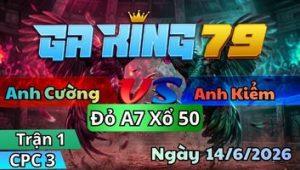 Trận 1 CPC3 Ngày 14/6/2026 - Điều dầy quá gà vàng đá không hết gà nổi