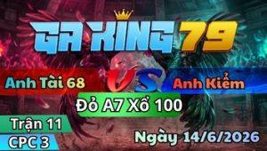 Trận 11 CPC3 Ngày 14/6/2026 - Bướm ra đá mấy chân bưng gà chuối ra sân