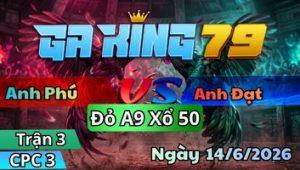 Trận 3 CPC3 Ngày 14/6/2026 - Gà điều bay nhảy khét canh đẩy cây cúng