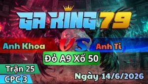 Trận 25 CPC3 Ngày 14/6/2026 - 2 con bay vô tùng điều đá cây đầu bướm hư hình