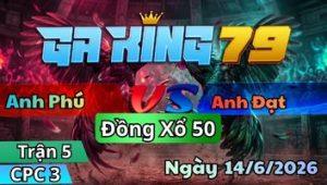Trận 5 CPC3 Ngày 14/6/2026 - Cú kêu điều ngã không có đường về nhà