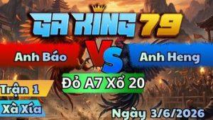 Trận 1 Xà Xía Ngày 3/6/2026 - Gà Úa Vô Hổn Bướm Đá Cây Nách Banh Luôn